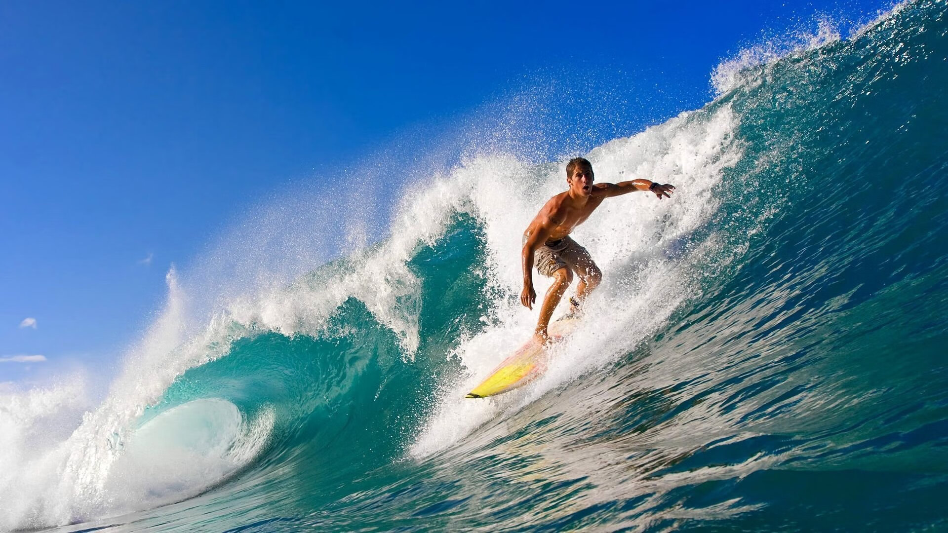 体育项目职业化路径与行业壁垒分析，体育产业化项目选择应遵循什么样的原则