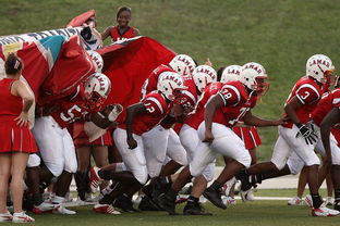 开云体育中国-青少年体育社团快速发展 激发校园活力，体育社团开展